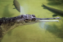 IMG_20230914_095500upr