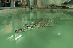 Screenshot_2025-03-16-14-46-49-656_com.google.android.apps_.photos2