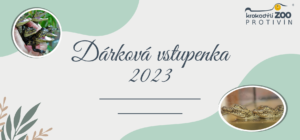 DV 2023